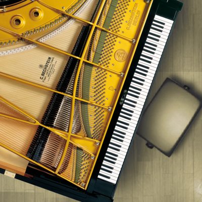bechstein fabbrini